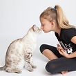 Verschmuster, aber eigensinniger Spielkamerad: Den Wunsch nach einer Katze kann man einem Kind etwa ab dem siebten Lebensjahr erfüllen.