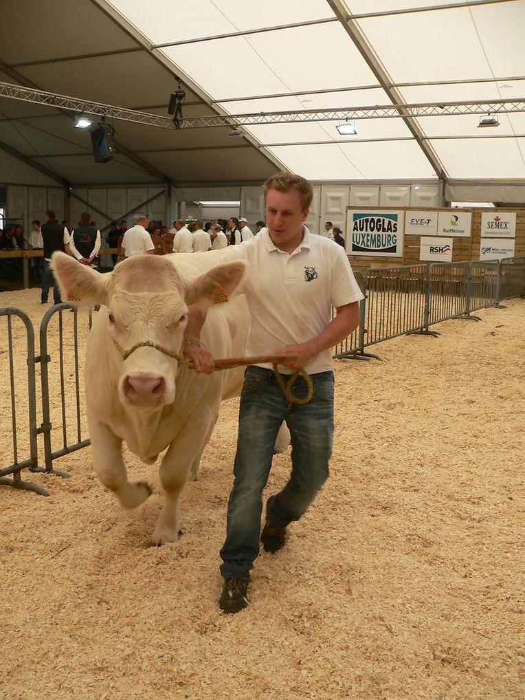 Die "Foire agricole" wusste den Regen am Samstag bereits mit einem abwechslungsreichen Show-Programm zur Nebensache werden zu lassen.