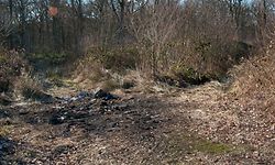 Das abgebrannte Fahrzeug war an einem Feldweg bei Roussy-le-Village gefunden worden. Die verkohlte Leiche befand sich auf dem Rücksitz.