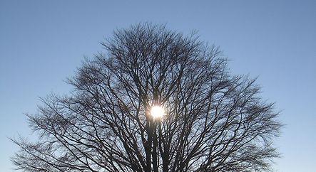 at the Rhoen mountain range in Germany