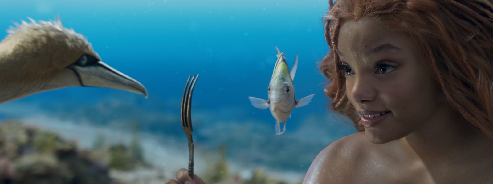 Halle Bailey als Arielle, Scuttle (l.) und Flounder (M.) sind beste Gefährten.