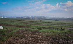 Hinter der Europaschule soll der zukünftige Containerstandort für Flüchtlinge entstehen.