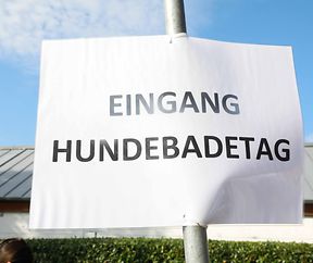 Lokales, Aqua Park, Schwimmbad, Hundeschwimmen, Badespass Foto: Luxemburger Wort/Anouk Antony