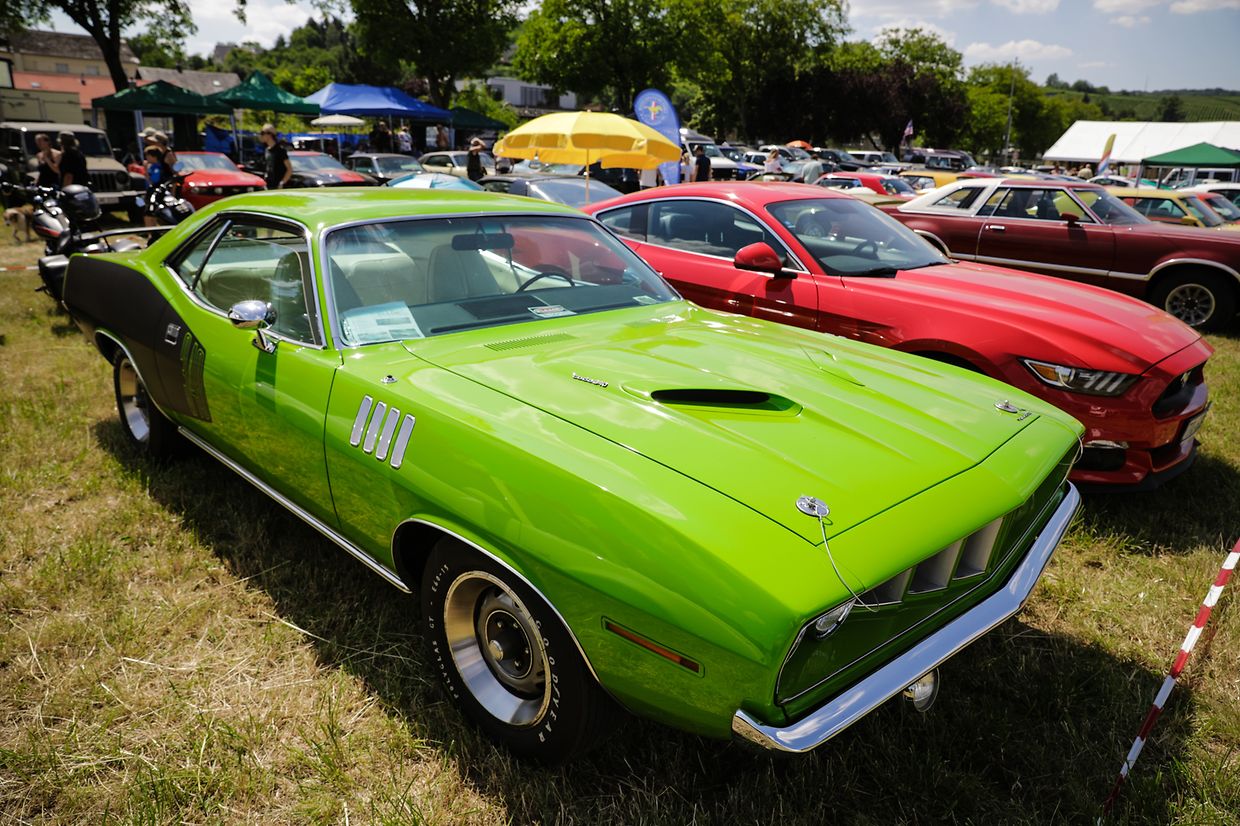 Noch bis Sonntag sind die US-Boliden in Stadtbredimus zu bestaunen.