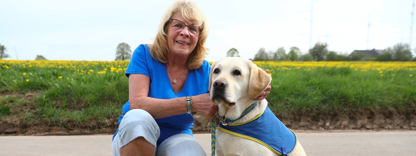 Wie Hunde Der Psyche Helfen Konnen