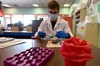 LAS VEGAS, NEVADA - SEPTEMBER 01: Senior student Arsen Topchyan divides an environmental sample into conical tubes to prepare it for experimentation during an in-person Phage Discovery Laboratory course by life sciences professor Dr. Christy Strong at UNLV amid the spread of the coronavirus (COVID-19) on September 1, 2020 in Las Vegas, Nevada. Strong has two other classes of 50 and 250 students that she teaches remotely. To lower the number of people on campus to allow for social distancing because of the pandemic, the university moved fall 2020 courses with more than 50 students, about 80 percent of its classes, to remote instruction, with 20 percent of courses held in-person or hybrid. UNLV is only using large classrooms with spaced out seating and under 50 percent capacity for in-person classes, which are now staggered to reduce density on the campus.   Ethan Miller/Getty Images/AFP
== FOR NEWSPAPERS, INTERNET, TELCOS & TELEVISION USE ONLY ==