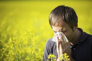20% des Français connaissent des crises allergiques au Printemps