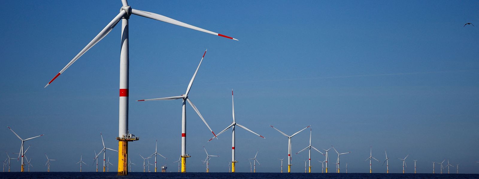 Auch in Frankreich erhöht sich stetig die Zahl der Windfarmen. 