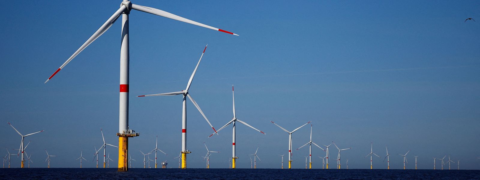 Man könne nur begrüßen, dass Luxemburg sich in Offshore-Windparks einkaufe und so mithelfe, diese Energiequelle zu nutzen, stellt der Autor fest.