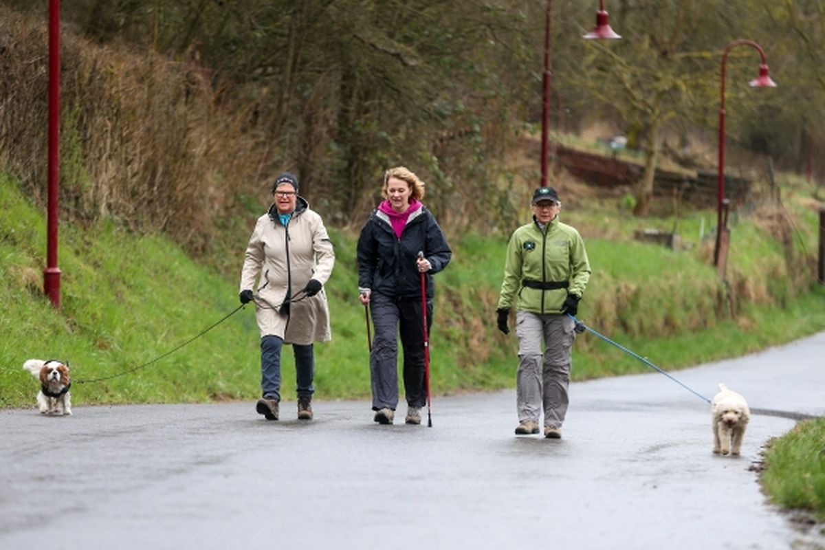 Auch Hunde sind bei Wanderungen zugelassen.