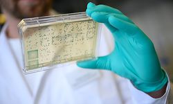 24.02.2020, Baden-Württemberg, Tübingen: Ein Mann schaut sich in einem Labor des biopharmazeutischen Unternehmens Curevac einen Träger mit Bakterien an, aus denen DNA und anschließend RNA gewonnen wird (gestellte Szene). Der mutmaßliche Versuch der US-Regierung, den Tübinger Impfstoff-Entwicker CureVac zu einem Standortwechsel zu bewegen, beschäftigt auch den Kreis der G7-Staaten. Foto: Sebastian Gollnow/dpa +++ dpa-Bildfunk +++