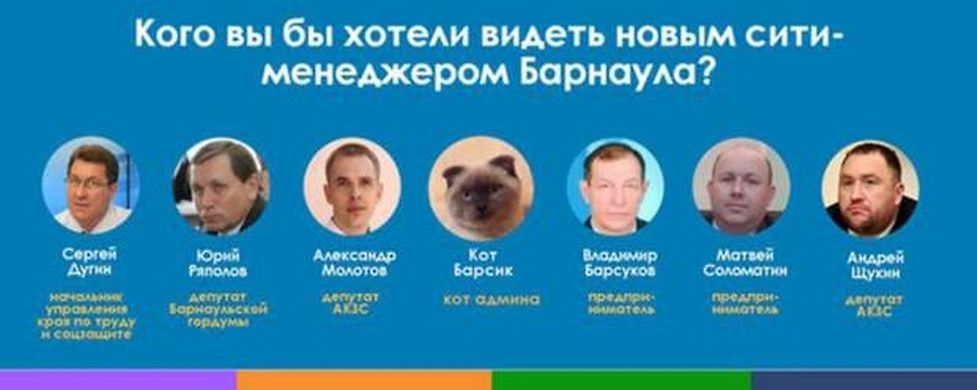 List of candidates that includes proposed cat. The feline contender called Barsik was put on to the ticket via the  Russian social media website Vkontakte.