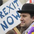 Demonstrators supporting Brexit protest outside of the Houses of Parliament in London, Britain, November 23, 2016. REUTERS/Toby Melville