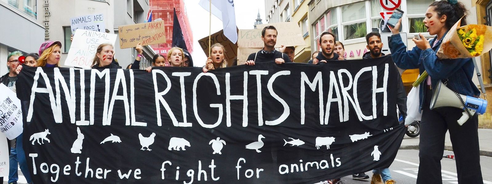 Plus de 60.000 animaux ont été abattus entre avril et juin 2018 au Grand-Duché. L'année suivante, le Ministère de l'Agriculture, en dénombre plus de 61.000.