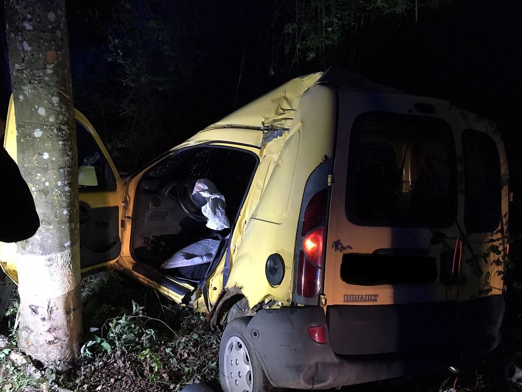 Der Fahrer wurde bei dem Unfall verletzt.