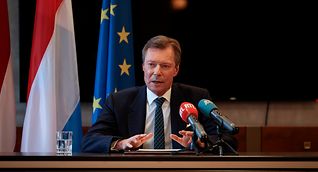 Grand Duke Henri