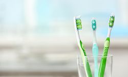 Zahnbürsten sollten stets aufrecht in den Becher gestellt werden, damit sie gut trocknen können. 