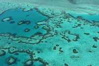 Das Great Barrier Reef vor der Ostküste Australiens dehnt sich über mehr als 344.000 Quadratkilometer aus.