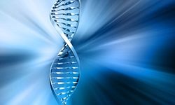 Seit Anfang der 1990er Jahre erstellt die Luxemburger Justiz DNA-Profile. So wird etwa allen verurteilten Verbrechern, deren Haftstrafe zwei Jahre überschreitet, eine DNA-Probe entnommen.