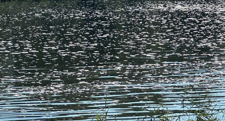Mousse blanche sur le cours d’eau «Moselle»