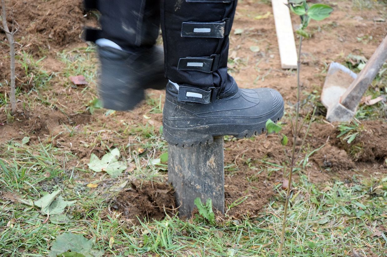 Dag vum Bam 2018 - Détail - Photo: Y. Krippel