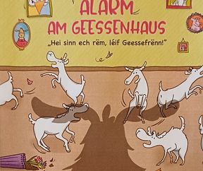 Marc Weydert: Alarm am Geessenhaus