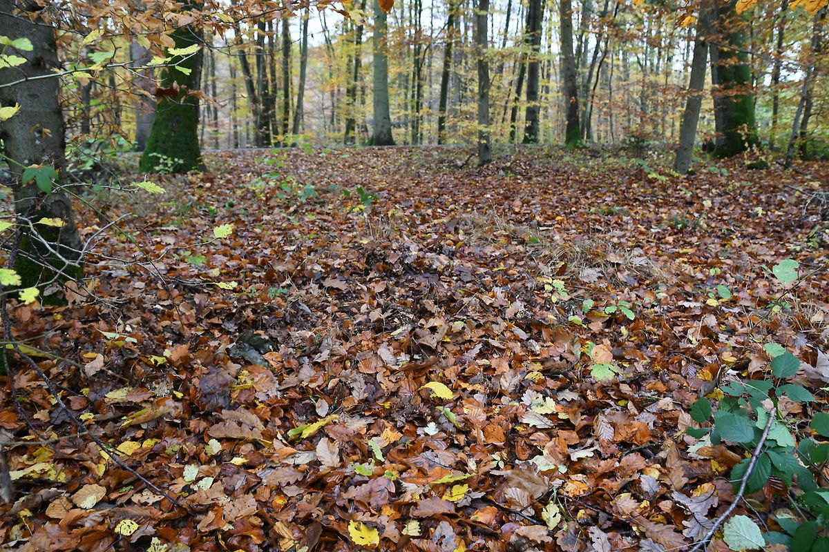 An der Fundstelle...