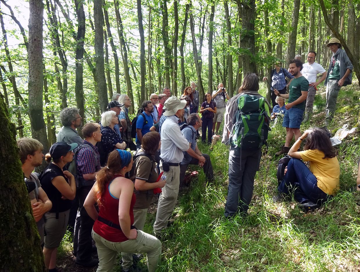 FlorSoz 2019 - Lohhecke (Foto A. Schopp-Guth)
