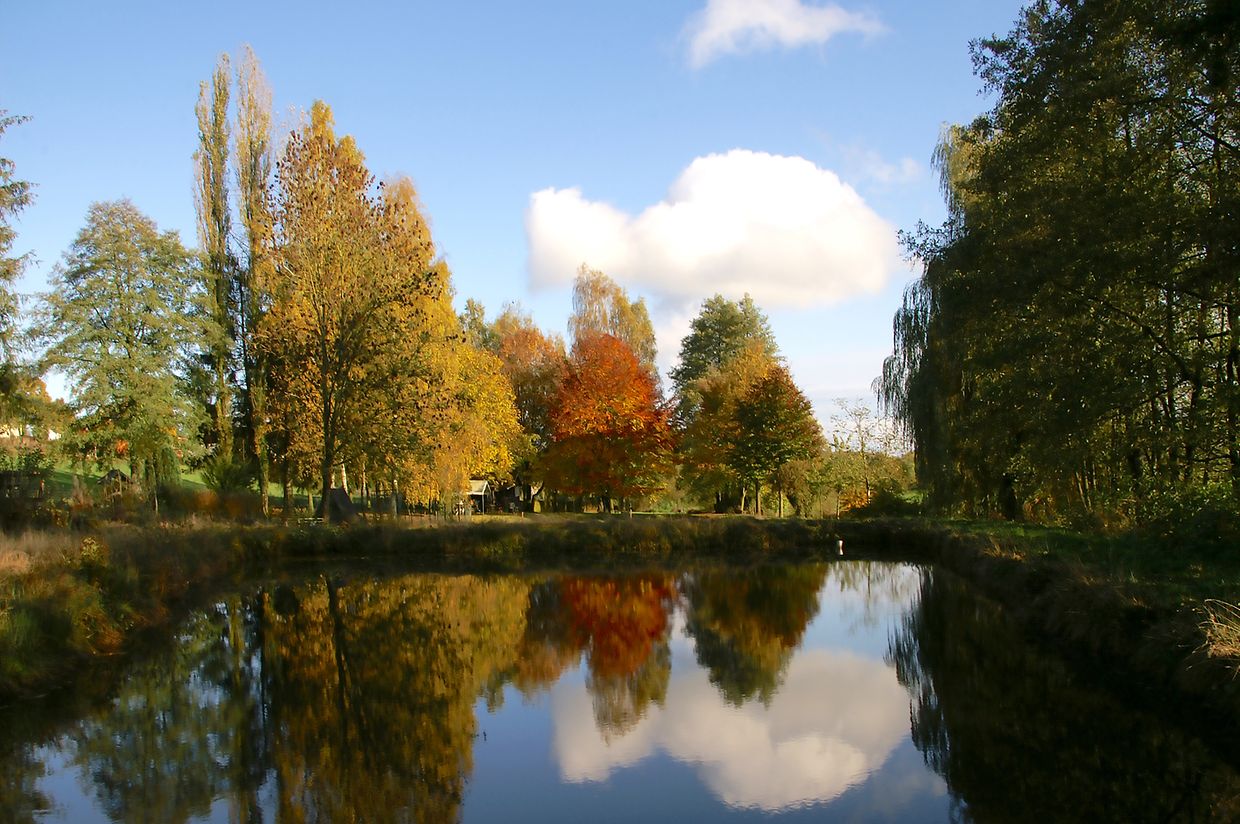 KONICA MINOLTA DIGITAL CAMERA