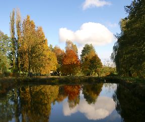 KONICA MINOLTA DIGITAL CAMERA