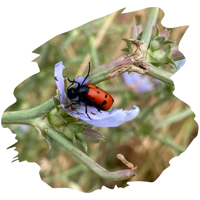 {"uid":"3F0BF7B7-41C4-40A3-A6A5-614C6C1C8199_1625809806725","source":"other","origin":"unknown"}