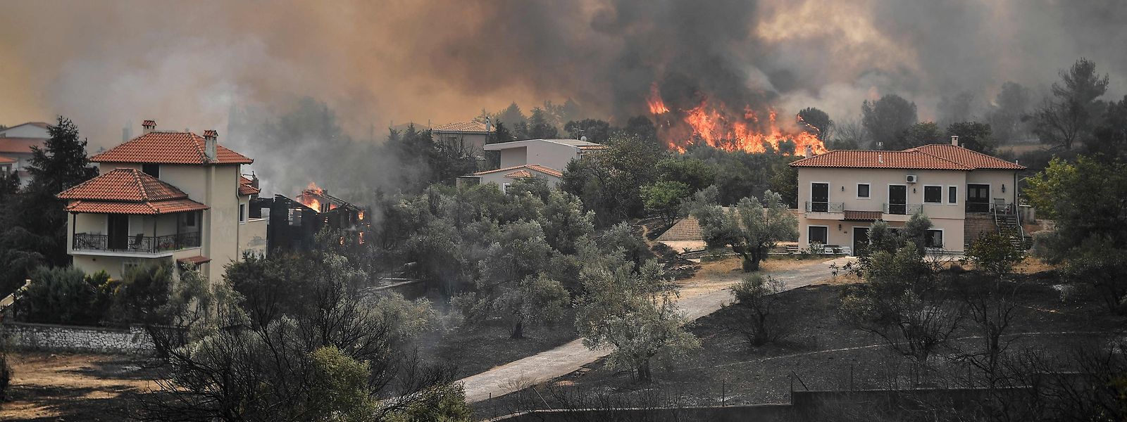 Im Norden von Athen walzte das Feuer über Wohngebiete hinweg.