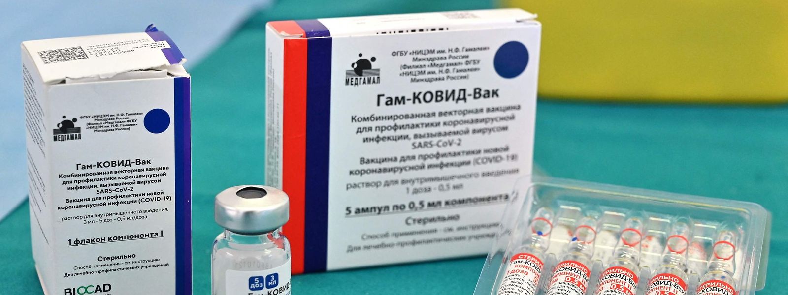 Eine Zulassung für den russischen Impfstoff durch die Europäische Arzneimittel-Agentur steht noch aus.