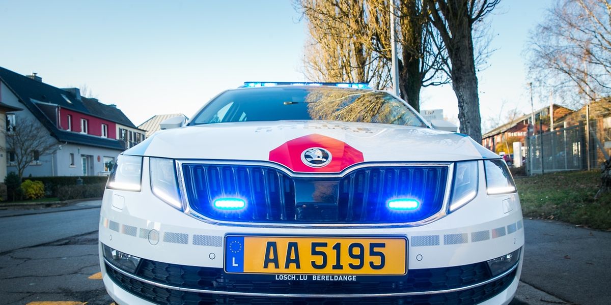 Bevor der mutmaßliche Einbrecher gestellt werden konnte, versuchte er, die Polizisten mit einer Nagelzange anzugreifen.