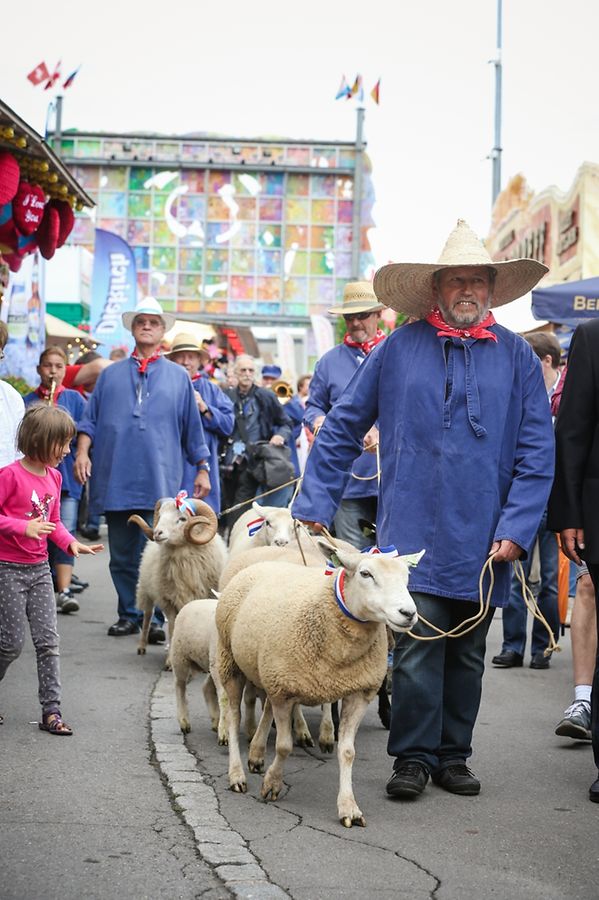 Die Schuberfouer auf dem Glacisfeld ist eröffnet. 20 Tage Spiel, Spaß und Spannung beginnen damit. 
