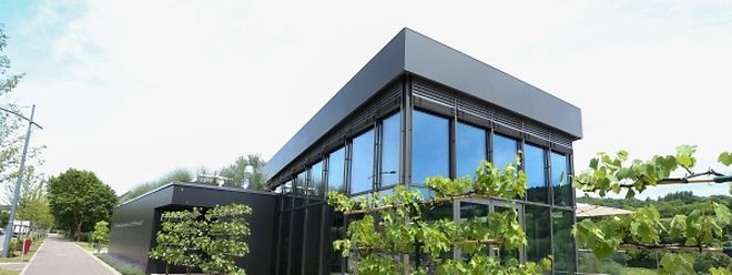 Das moderne transparente Gebäude soll ein Touristenmagnet schlechthin im Miselerland werden.