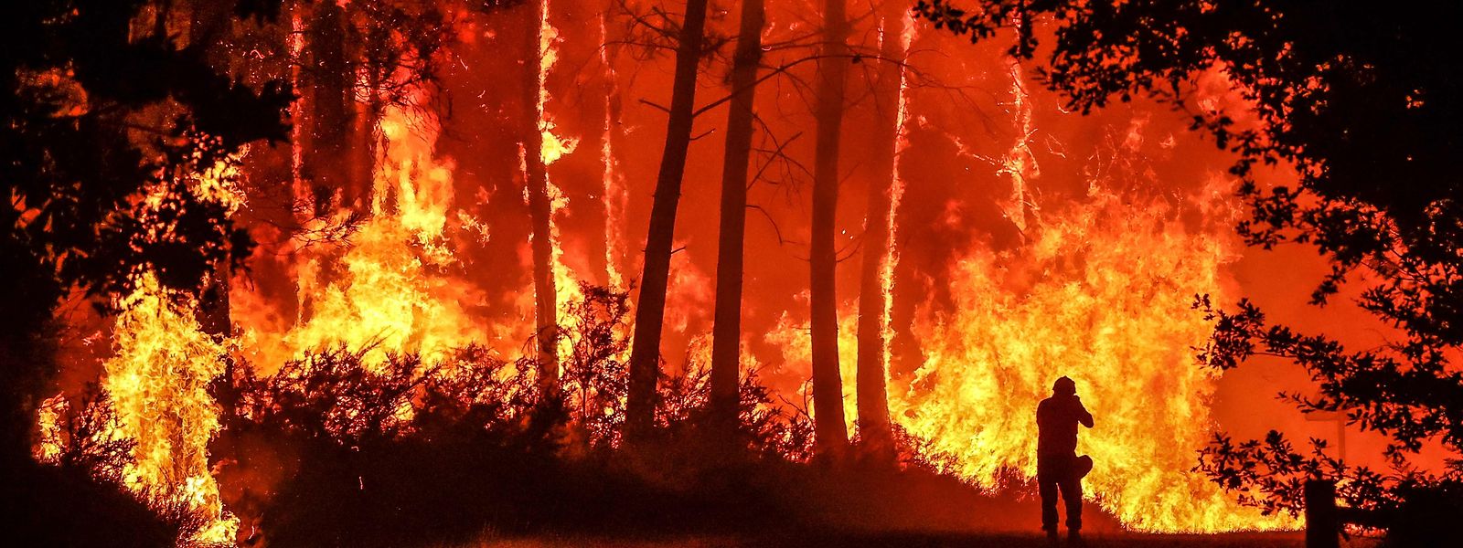 Im Département Gironde im Südwesten Frankreichs wüten derzeit die verheerendsten Waldbrände, die das Land je gesehen hat.