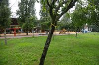 Damit Bürger besser erkennen, an welchen öffentlichen Plätzen der Mundraub erlaubt ist, markiert die Gemeinde Schengen Bäume und Sträucher mit einem gelben Bändchen. 