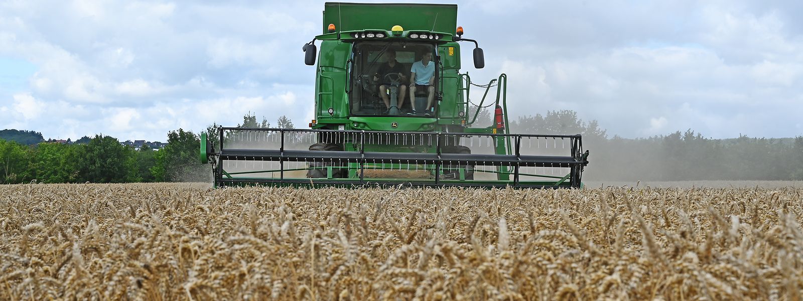 Die Lebensmittelpreise werden weiter steigen. Die hohen Energiekosten schlagen auf die Agrarproduktion durch und mit Russland und die Ukraine fallen zwei der wichtigsten Getreidelieferanten aus.