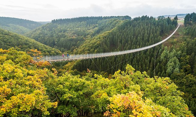Built in 2015, the 'Geierlay' bridge is 360m long and 100m above ground 