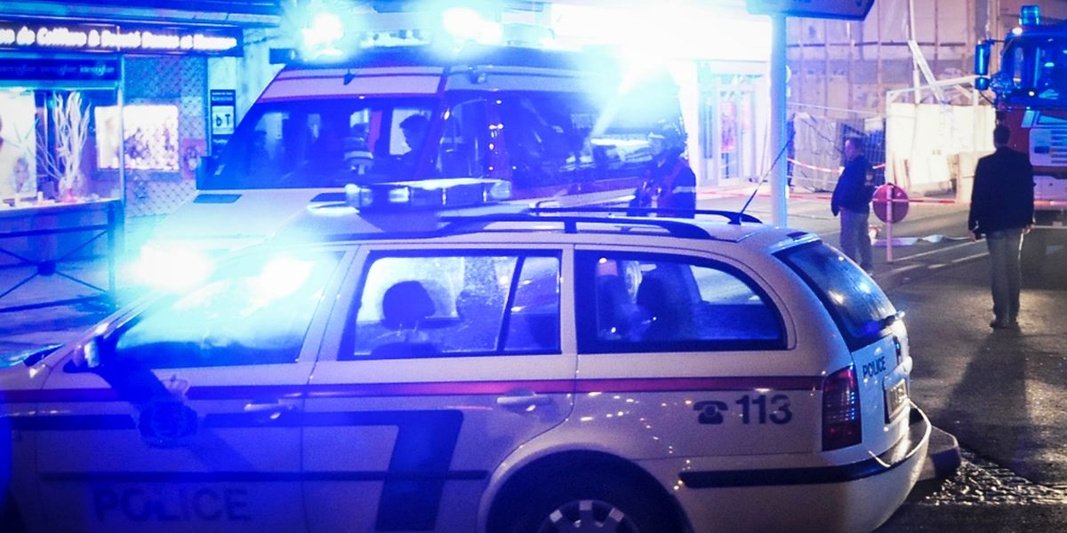 Mehrere Patrouillen waren vor Ort im Einsatz.