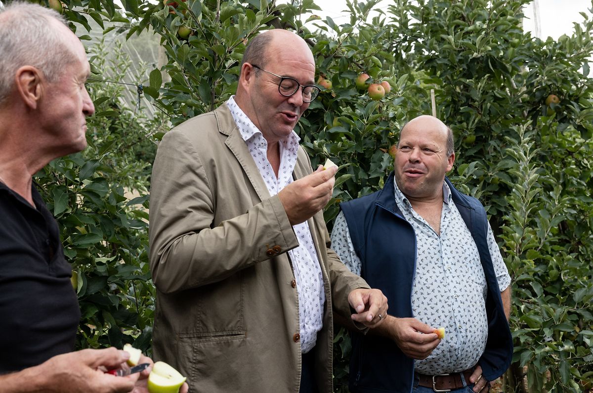 The minister of agriculture, Claude Haagen, visiting an orchard before the harvest this month