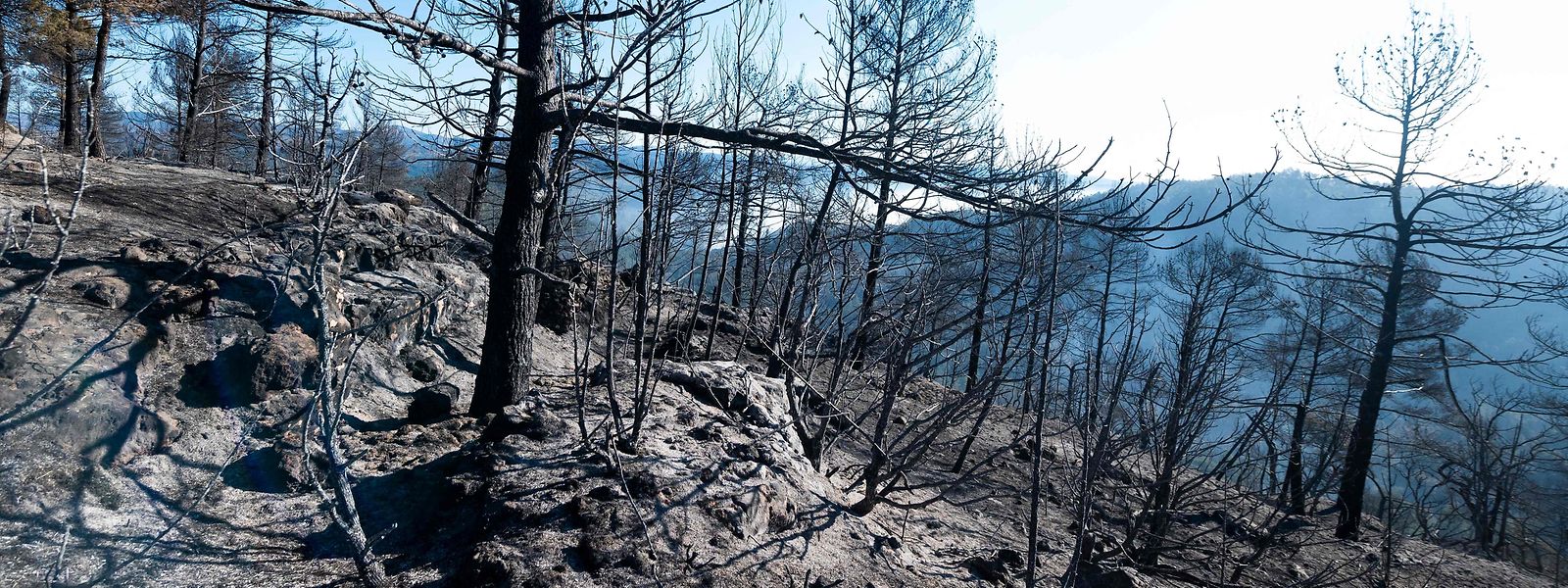 Die Ursache des Feuers blieb vorerst unbekannt. Die Behörden vermuten „eine falsch durchgeführte landwirtschaftliche Verbrennung“.