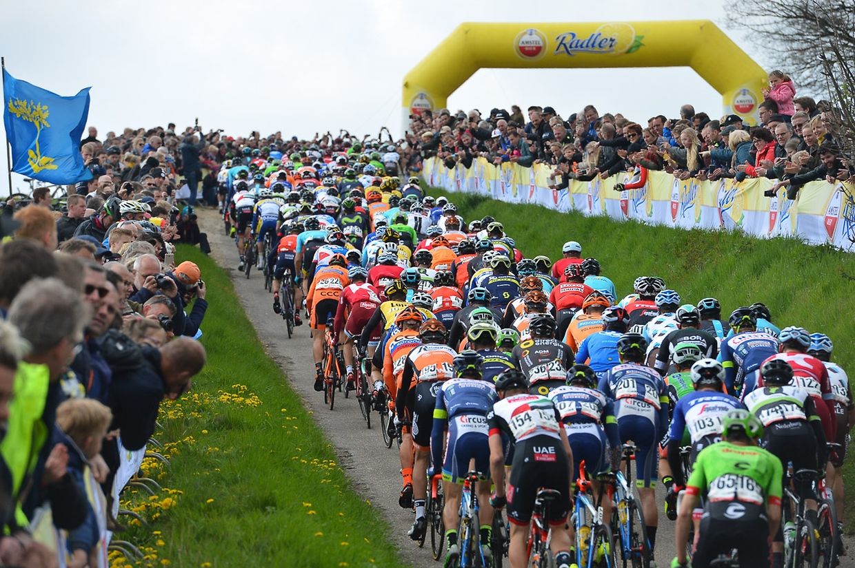 Das kompakte Feld im Gulpenerberg