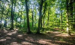 Serie Vakanz doheem 17.Krekelsbierg,Uebersyren.Foto: Gerry Huberty/Luxemburger Wort