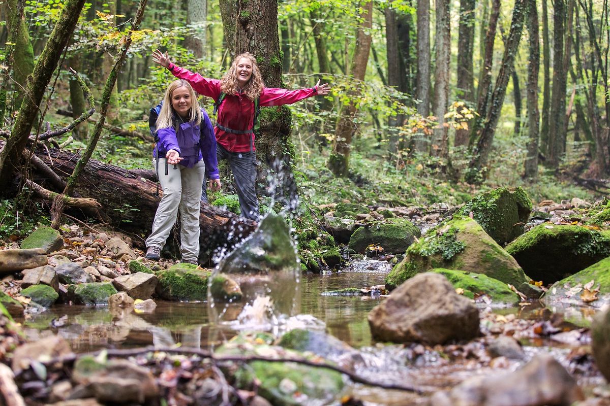 Des ruisseaux et des forêts: le Mullerthal est un paradis pour les randonneurs.