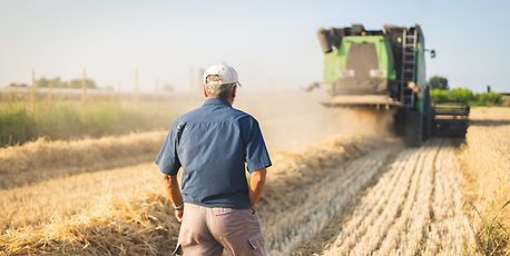 European fertiliser output cuts pose risks for food prices - Vimarsana News