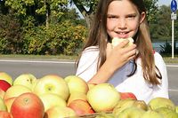 Frisches Obst, Obst, Obstanbau, Herbst an der Mosel, Kind beim Apfel essen, Gesundheit, Schmuckbild, Mosel