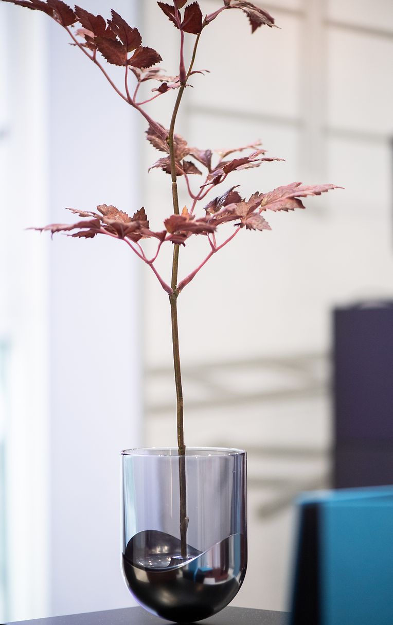 Die Vase von That hat eine Halterung zum Feststecken eines einzelnen Zweigs oder einer Blume.