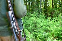 Jagd Jäger 